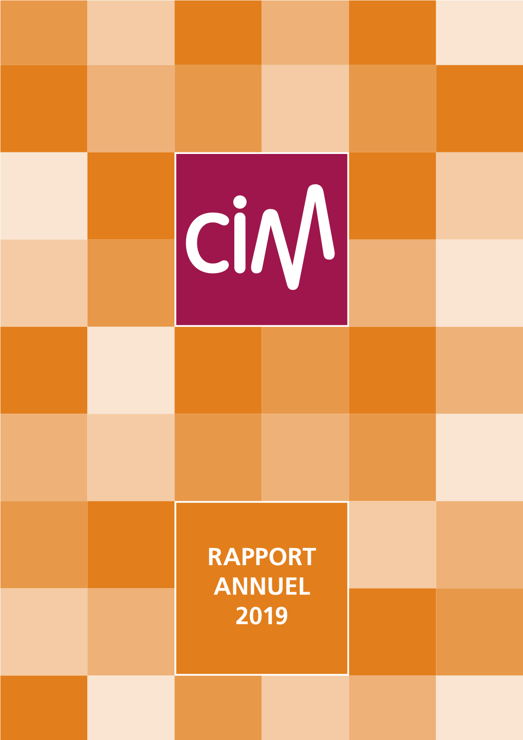 Rapport Annuel Cim 2019 1 Presse