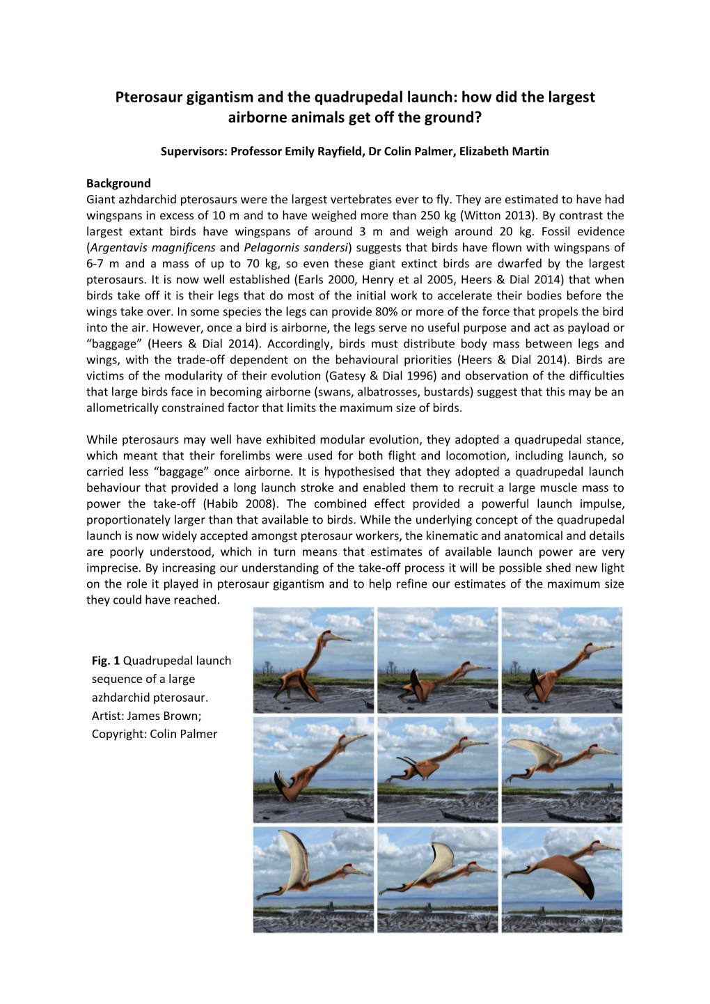 Pterosaur Gigantism and the Quadrupedal Launch: How Did the Largest Airborne Animals Get Off the Ground?