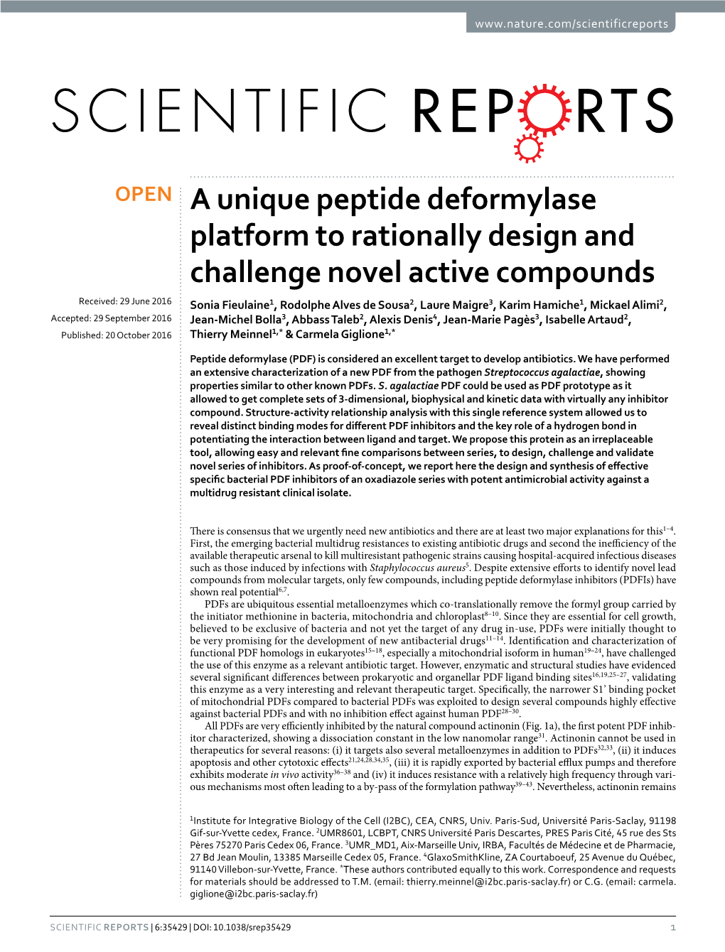 A Unique Peptide Deformylase Platform to Rationally