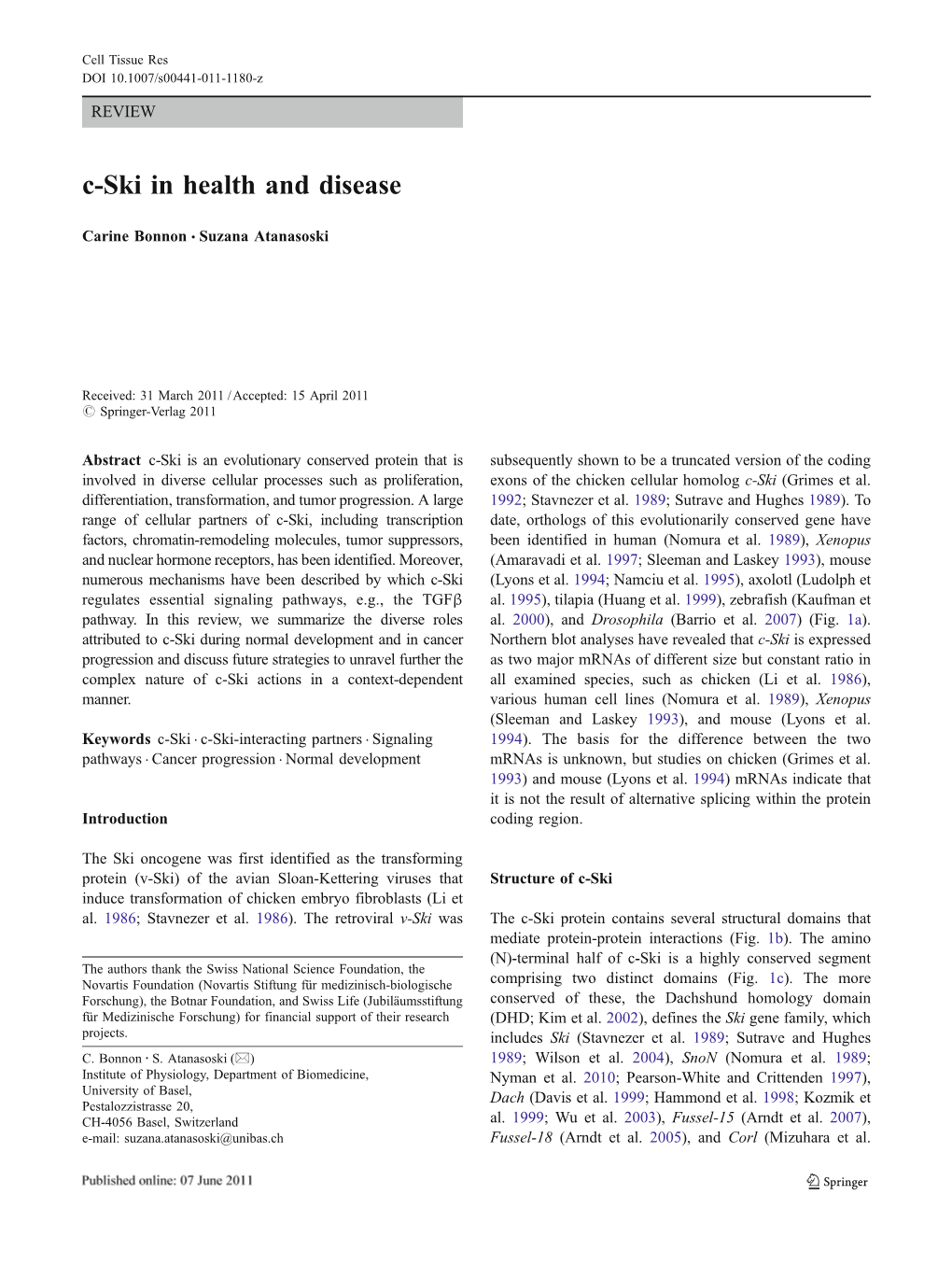 C-Ski in Health and Disease