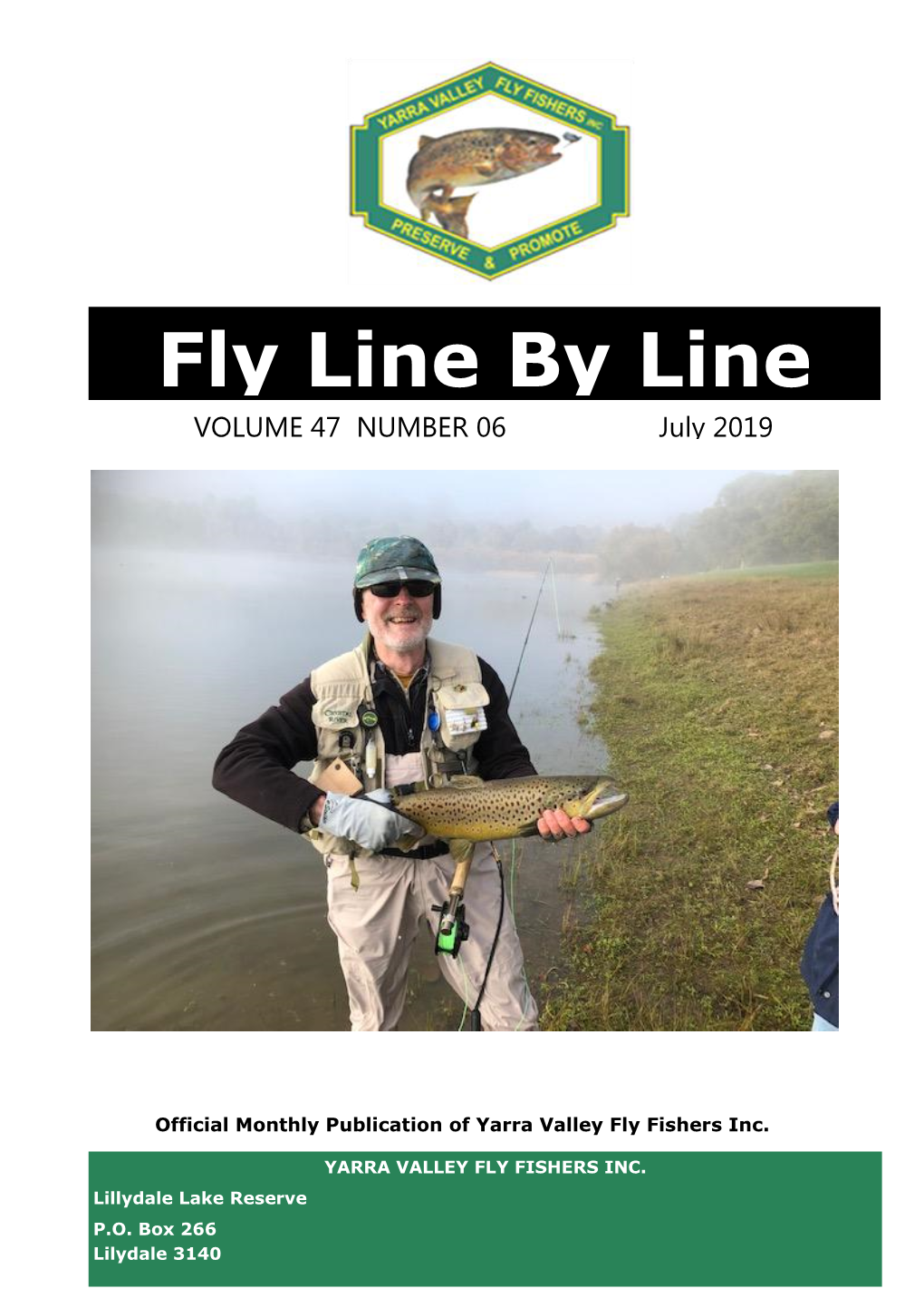 Fly Line by Line