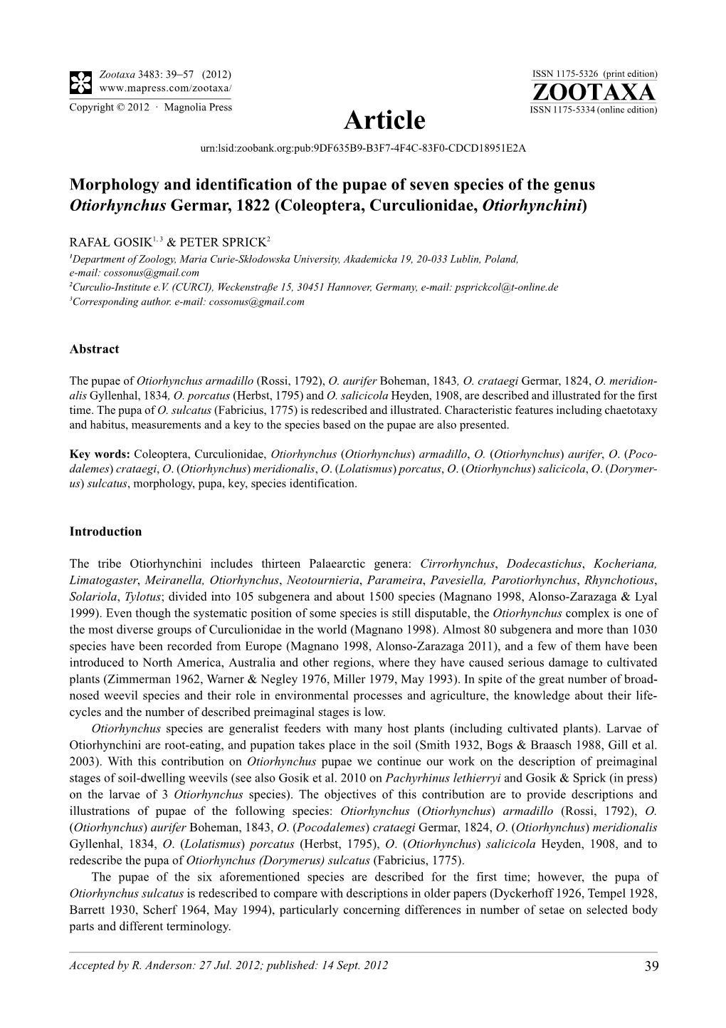 Morphology and Identification of the Pupae of Seven Species of the Genus Otiorhynchus Germar, 1822 (Coleoptera, Curculionidae, Otiorhynchini)