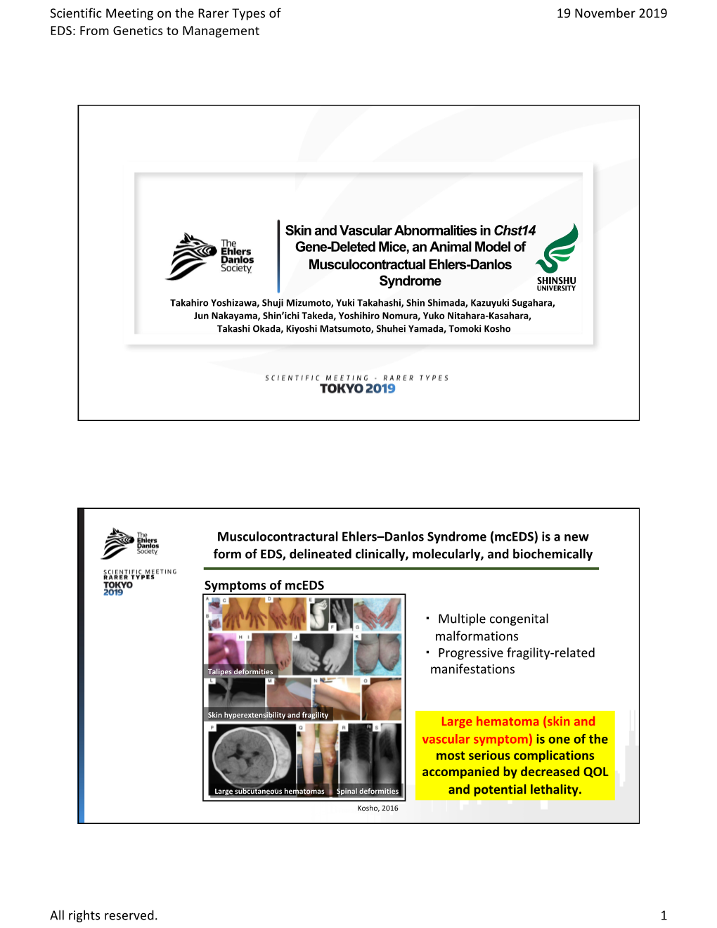 Yoshizawa, T. Skin and Vascular Abnormalities in Chst14 Gene