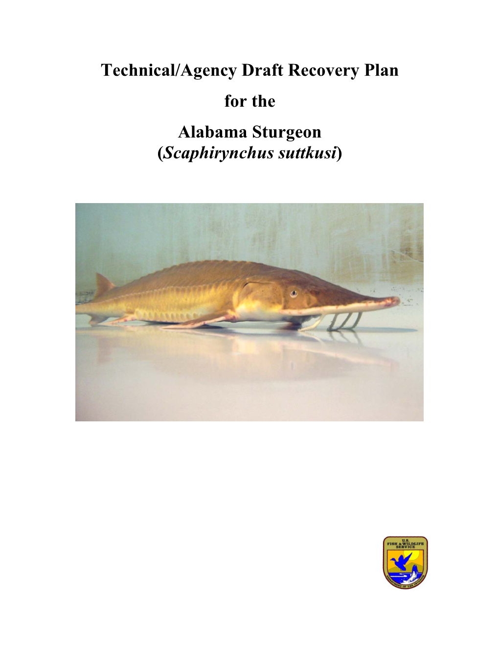 Technical/Agency Draft Recovery Plan for the Alabama Sturgeon (Scaphirynchus Suttkusi)