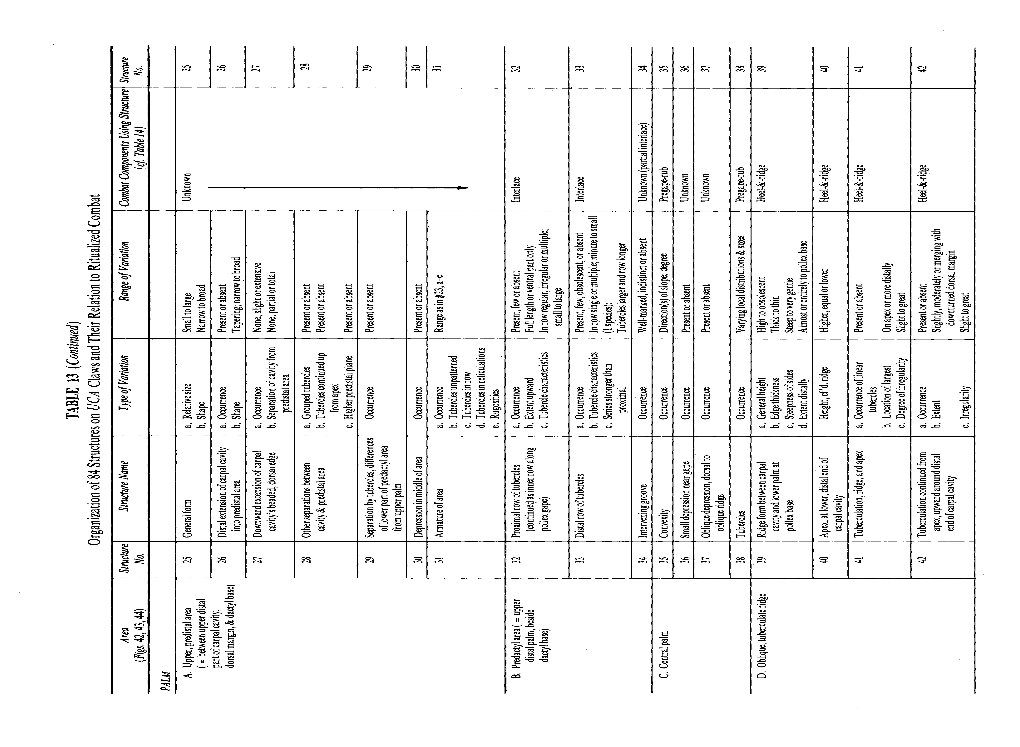 TABL E 13 (Continued) Organizatio N of 84 Structures O N UCA Claw S an D Their Relatio N to Ritualized Combat