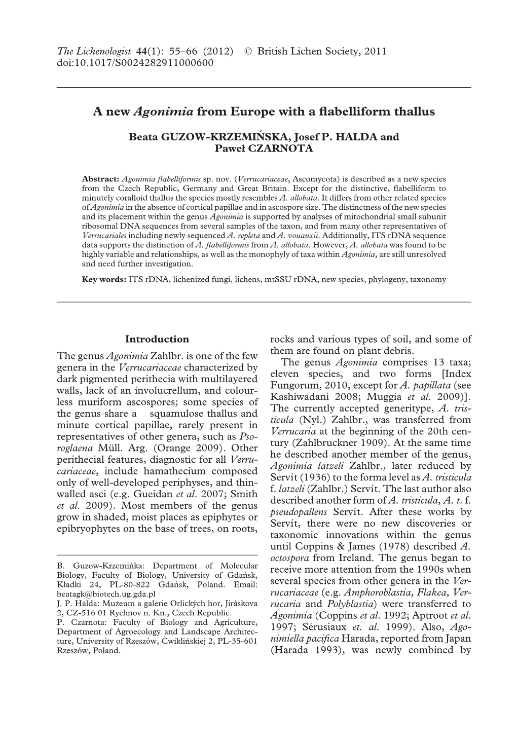 A New Agonimia from Europe with a Flabelliform Thallus