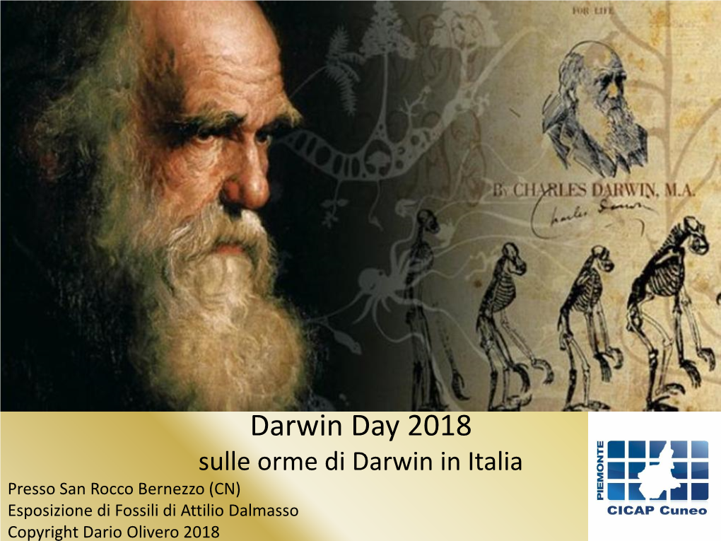 Sulle Orme Di Darwin in Italia Presso San Rocco Bernezzo (CN) Esposizione Di Fossili Di Attilio Dalmasso Copyright Dario Olivero 2018 Sulle Orme Di Darwin in Italia