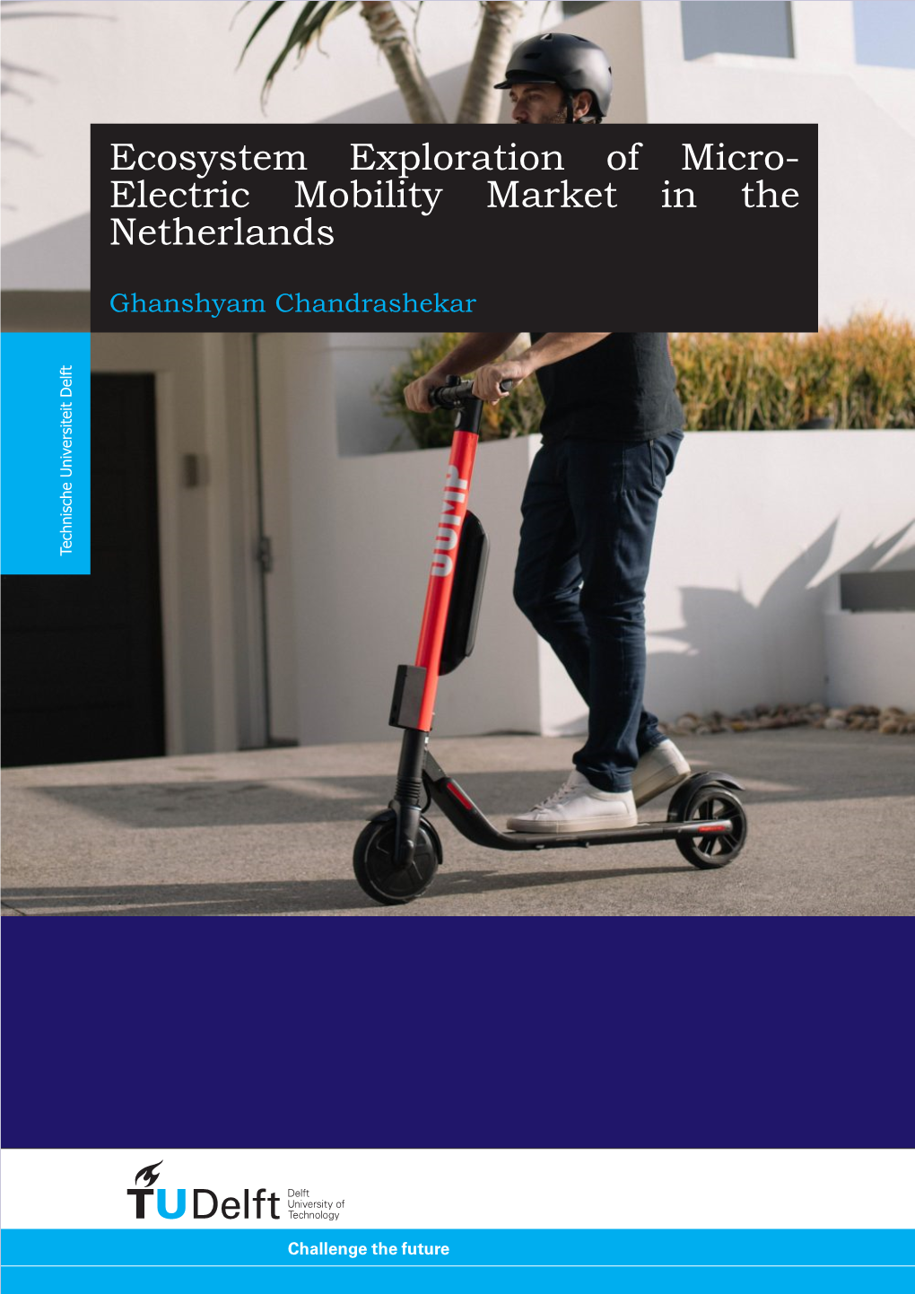 Ecosystem Exploration of Micro-Electric Mobility Market in the Netherlands