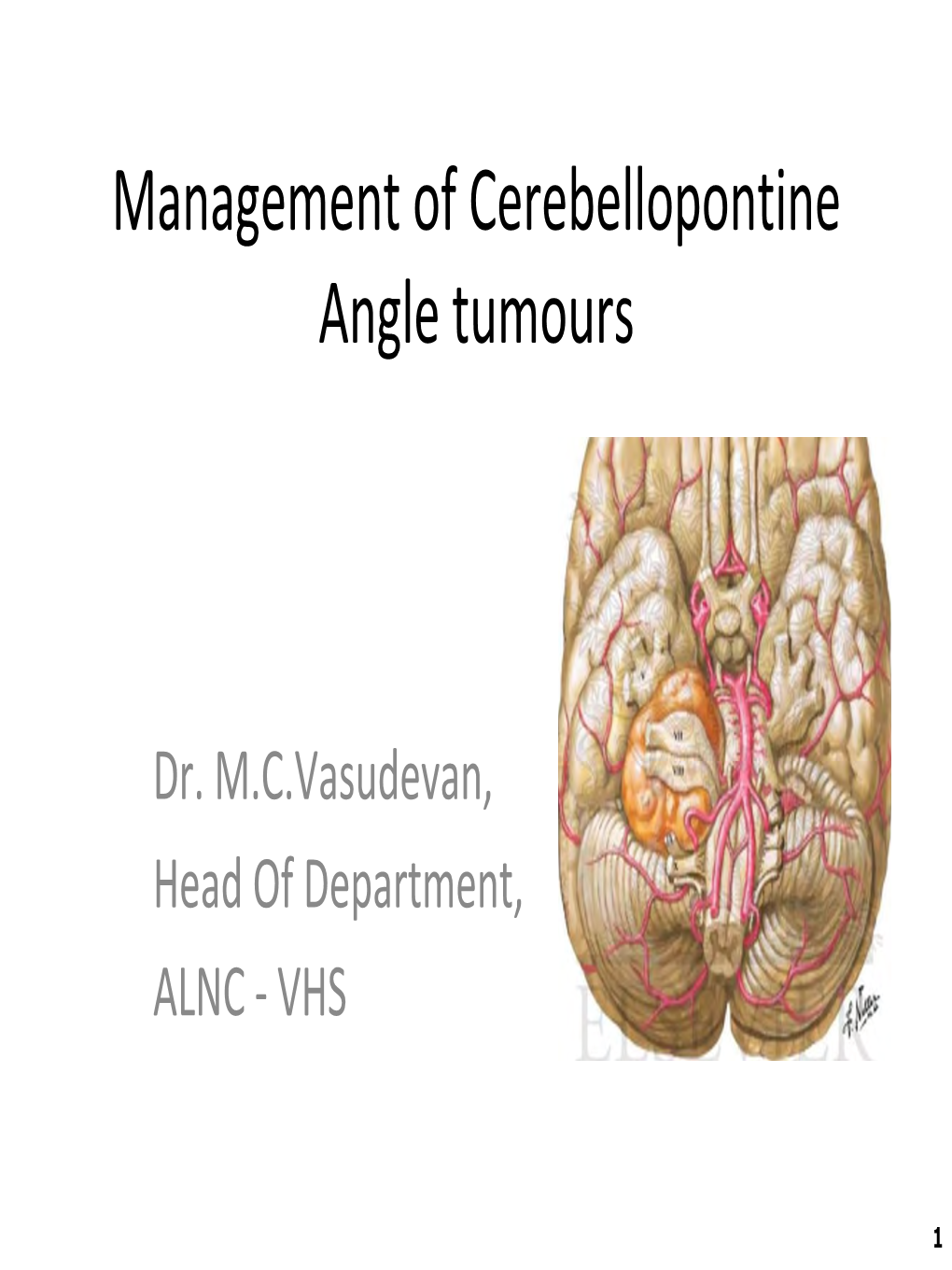 Cerebellopontine Angle Masses