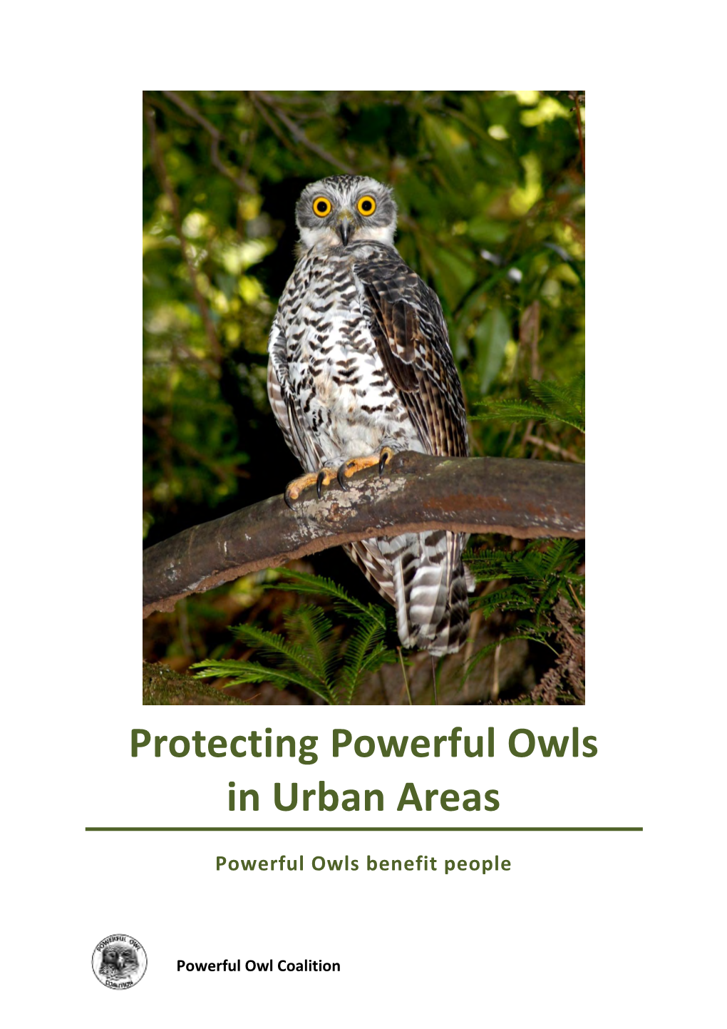 Protecting Powerful Owls in Urban Areas