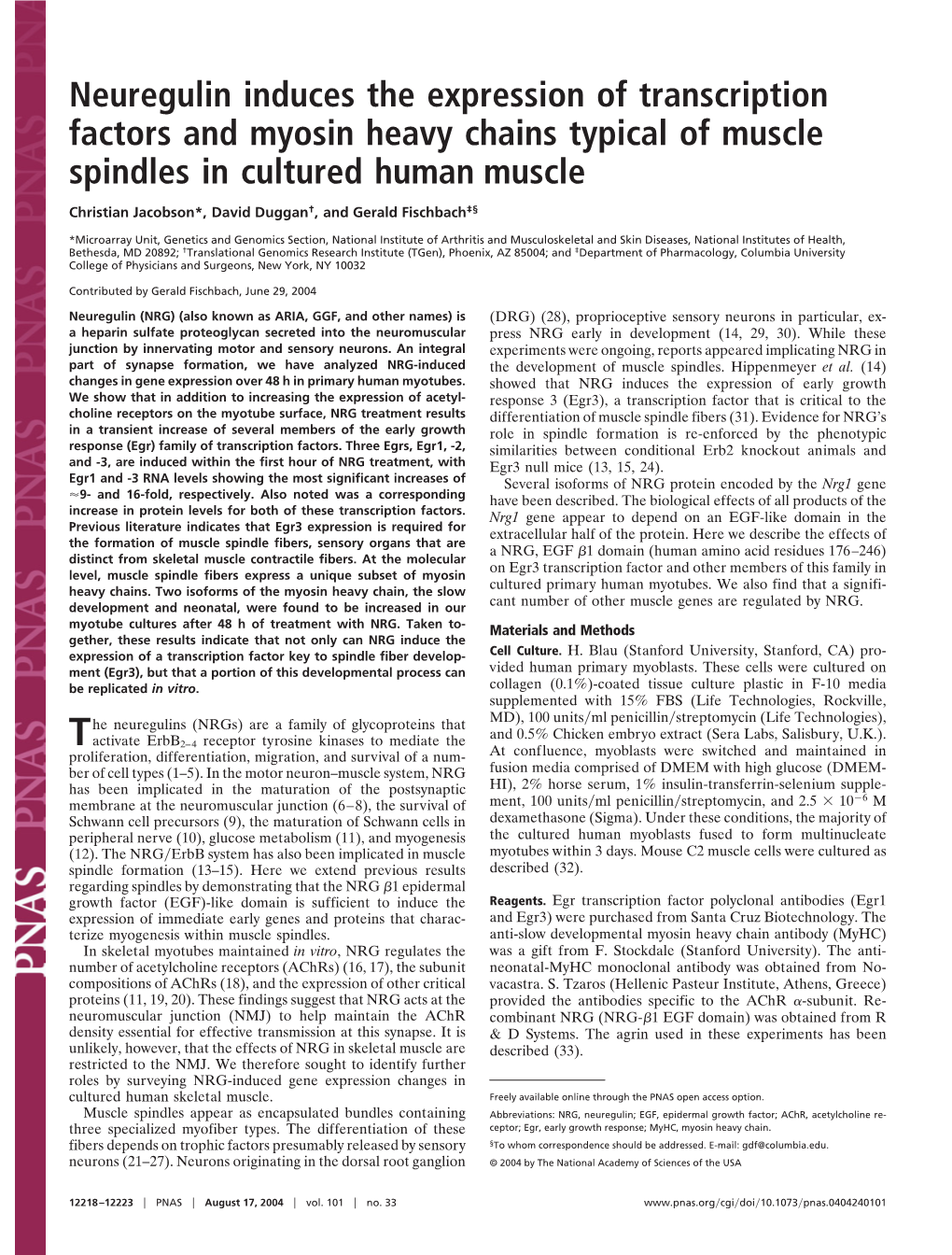 Neuregulin Induces the Expression of Transcription Factors and Myosin Heavy Chains Typical of Muscle Spindles in Cultured Human Muscle