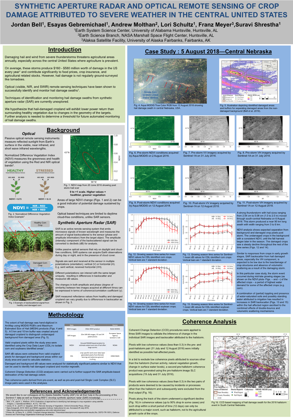 Synthetic Aperture Radar and Optical Remote Sensing