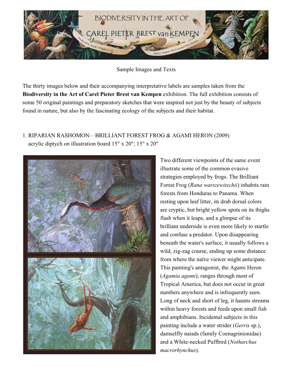 Carel Pieter Brest Van Kempen Exhibition Sample Images and Text