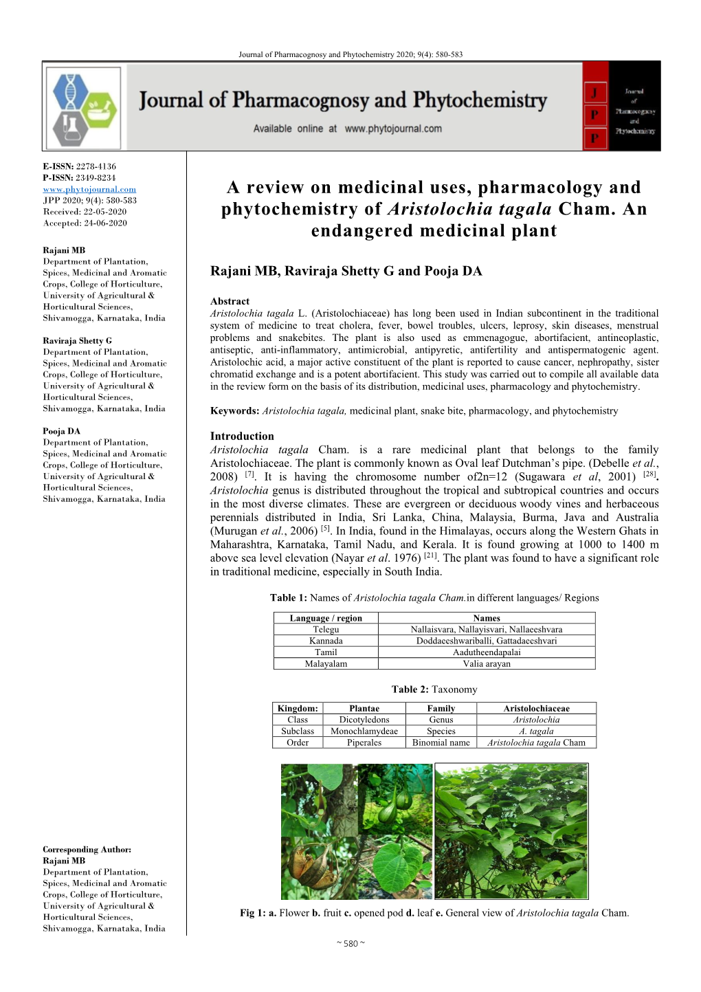 A Review on Medicinal Uses, Pharmacology and Phytochemistry