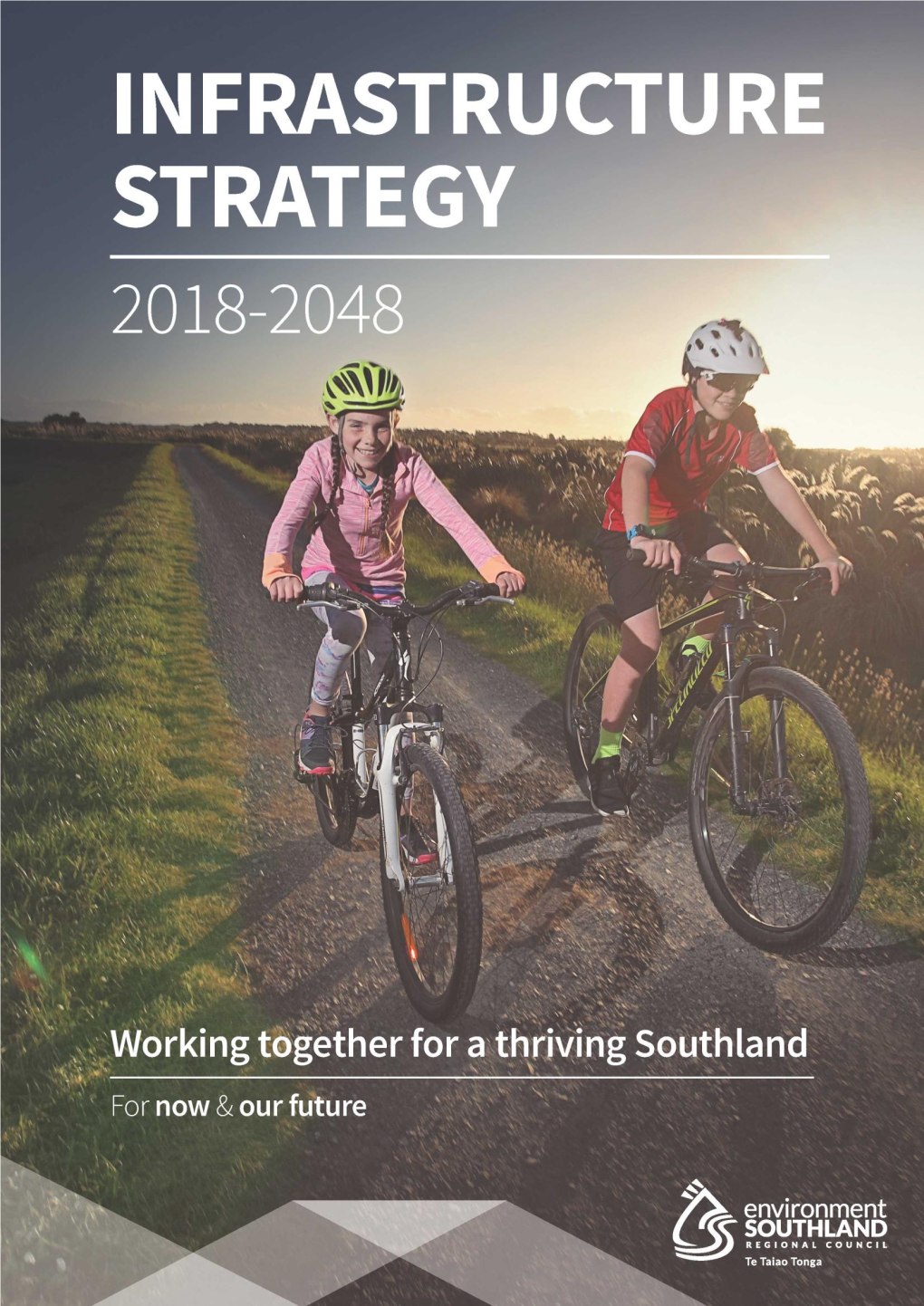 Infrastructure Strategy 2018-2048