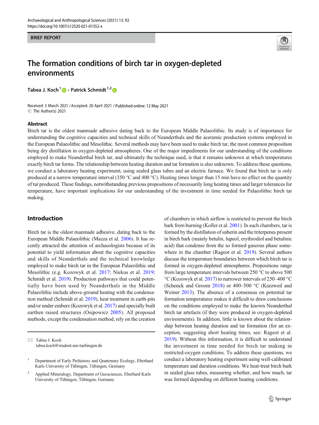 The Formation Conditions of Birch Tar in Oxygen-Depleted Environments
