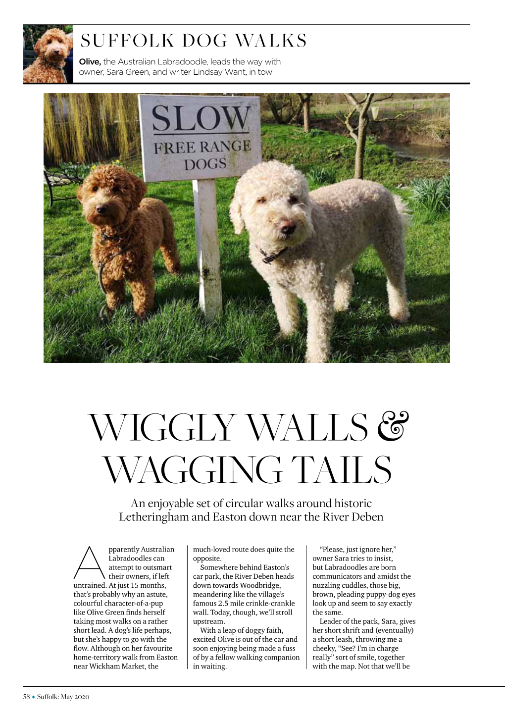 Wiggly Walls & Wagging Tails