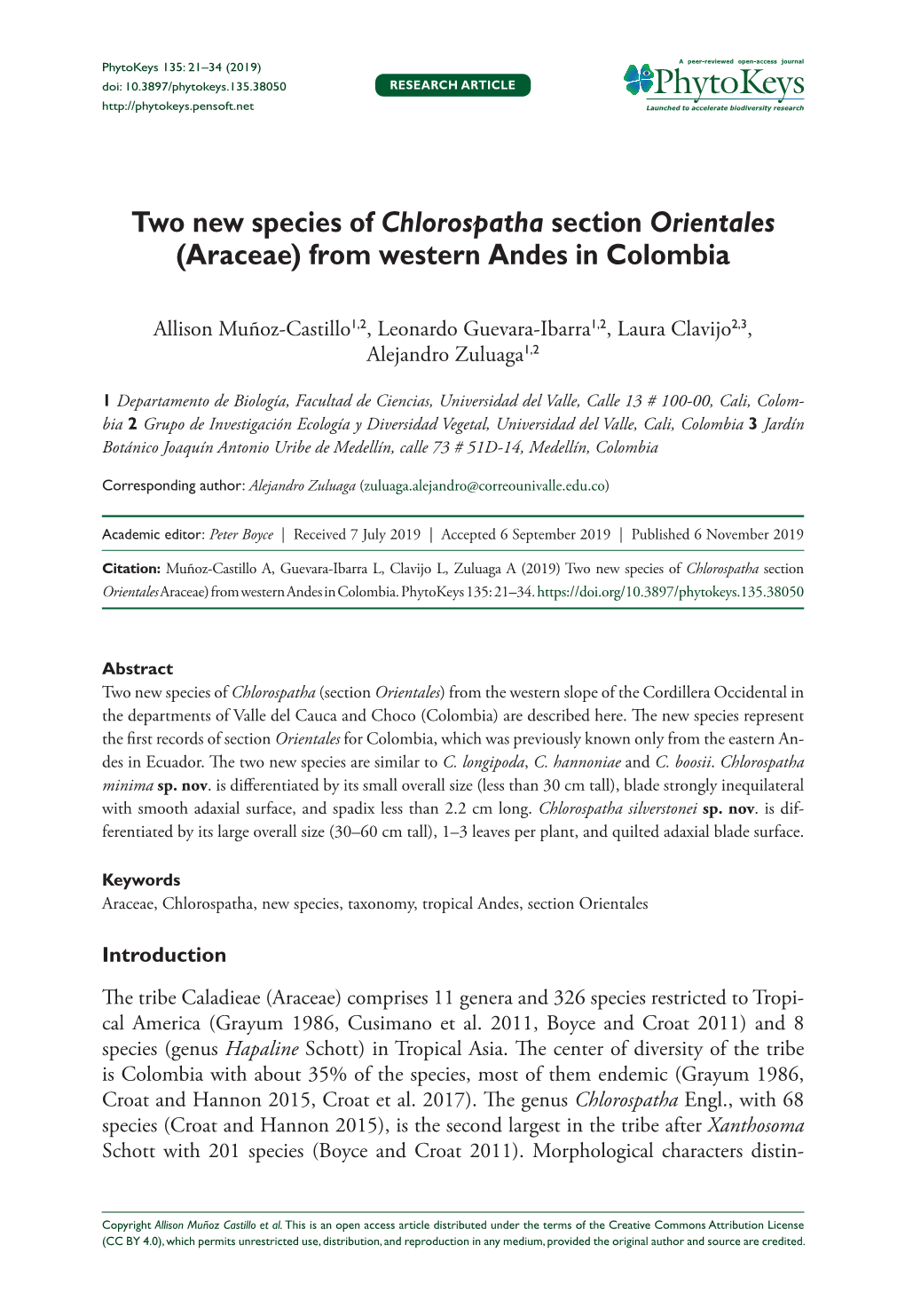 Two New Species of Chlorospatha Section Orientales (Araceae)
