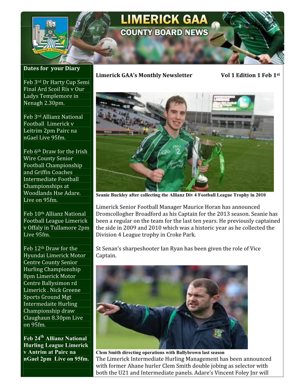 Limerick GAA Newsletter Feb 1St 2013-1