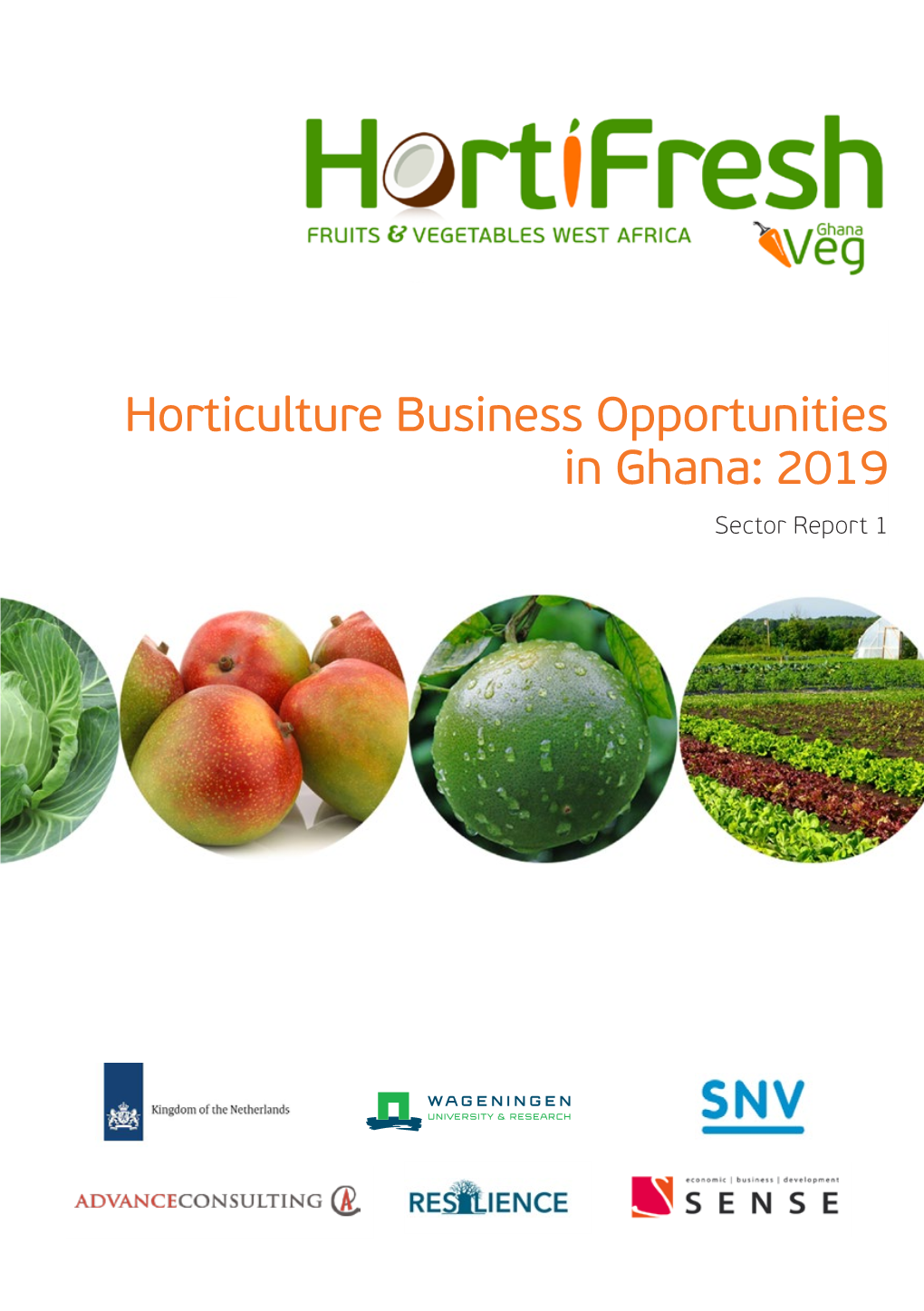 Horticulture Business Opportunities in Ghana: 2019 Sector Report 1 Table of Contents