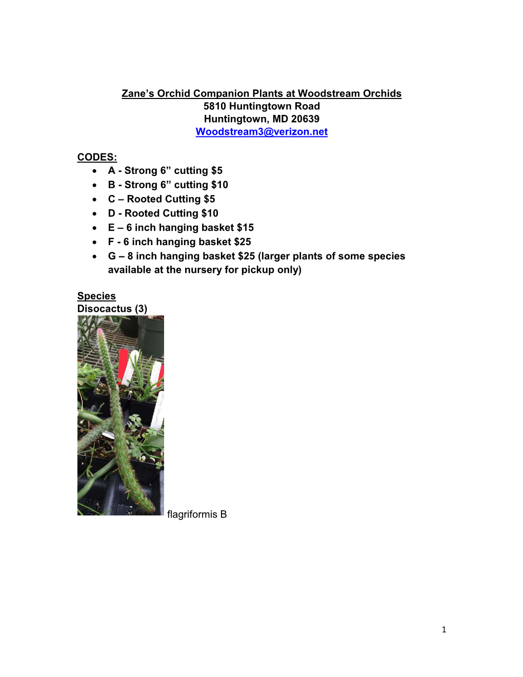 Zane's Epiphytic Cacti Availability List