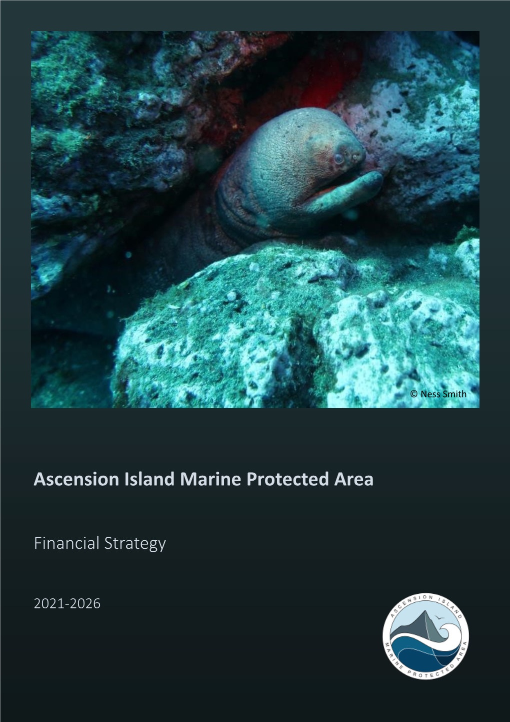 Ascension Island Marine Protected Area