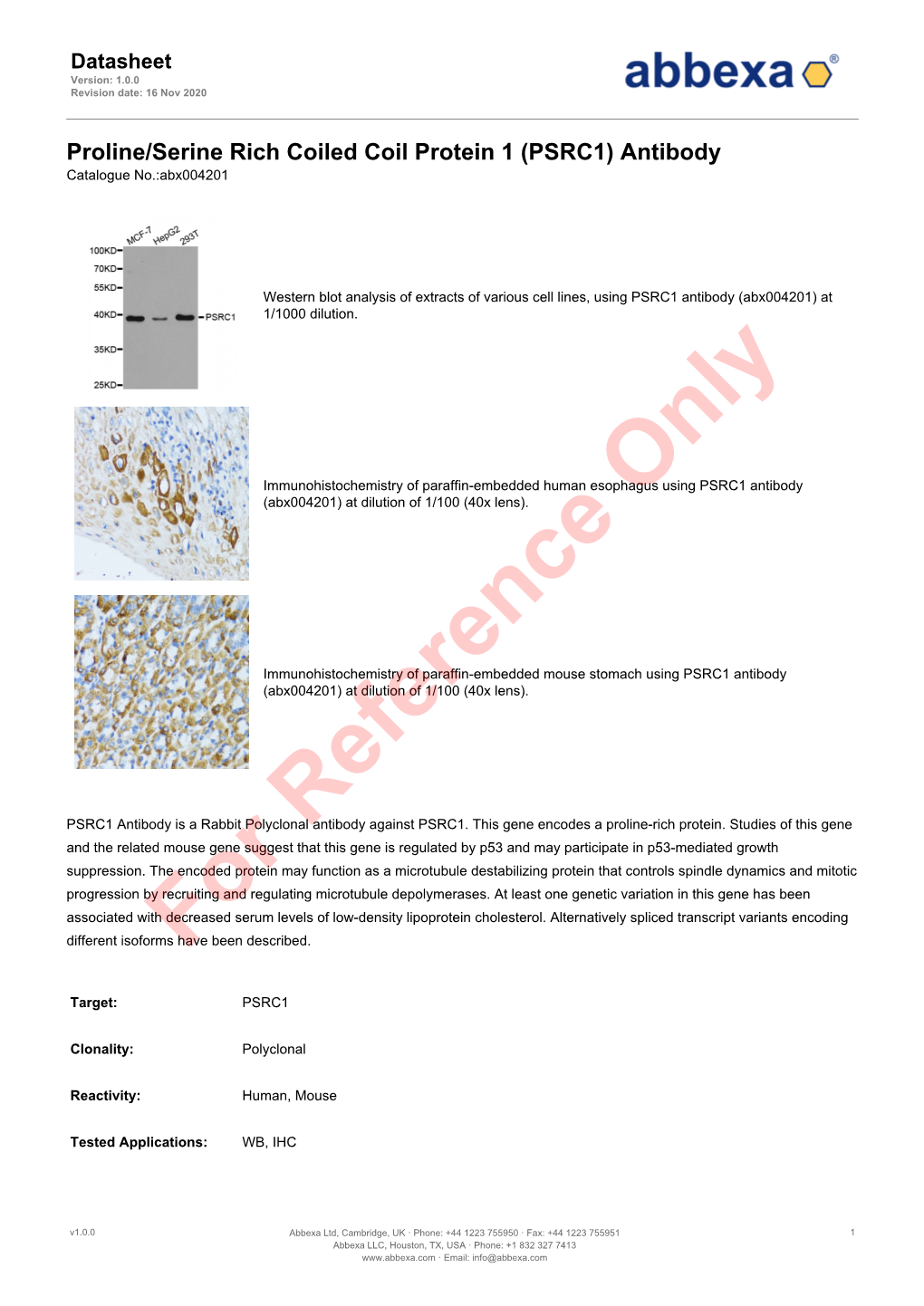 (PSRC1) Antibody Catalogue No.:Abx004201