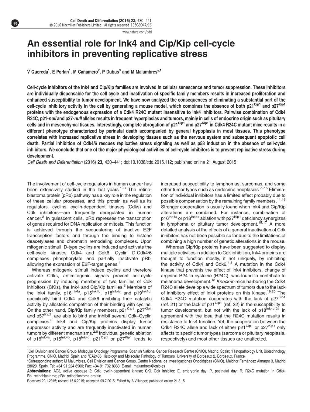 Kip Cell-Cycle Inhibitors in Preventing Replicative Stress