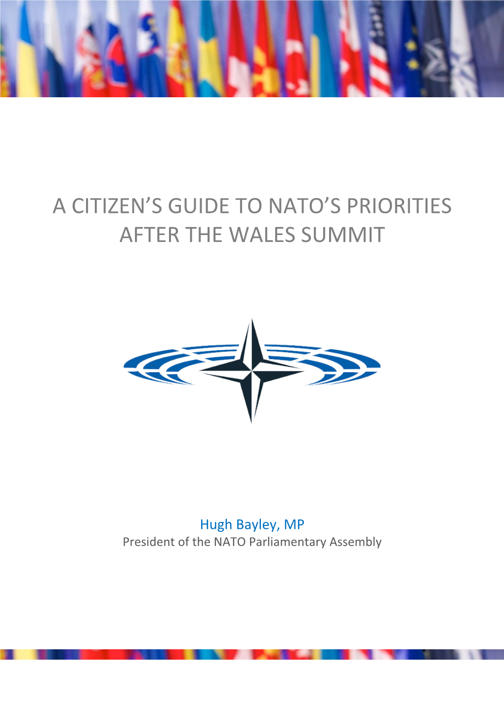 A Citizen's Guide to Nato's Priorities After the Wales