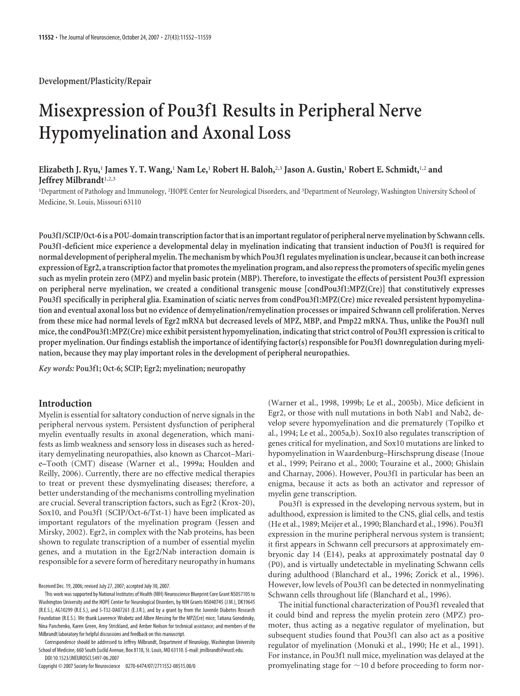 Misexpression of Pou3f1 Results in Peripheral Nerve Hypomyelination and Axonal Loss