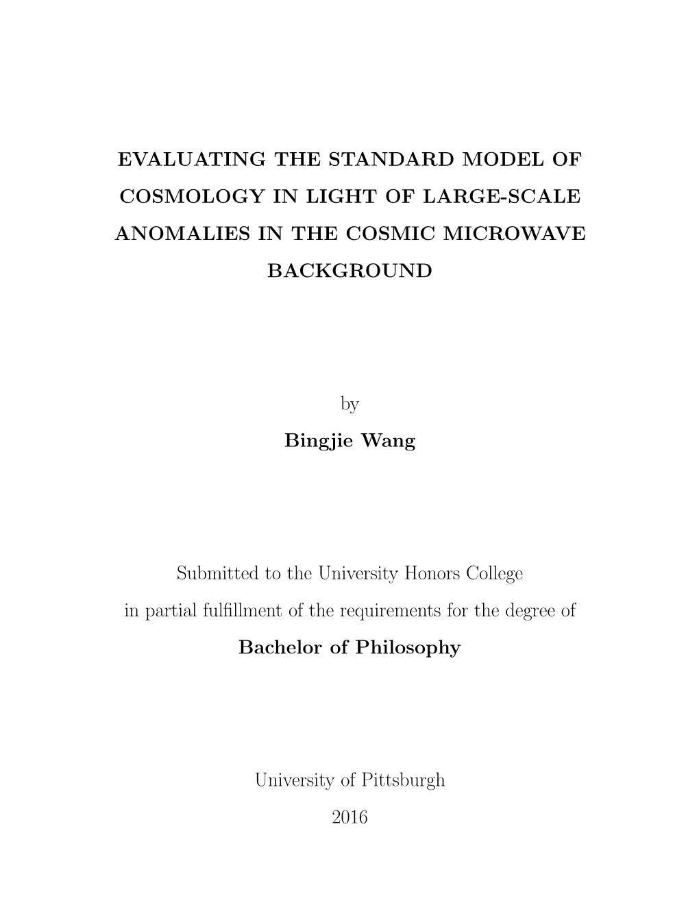 Bphil Thesis