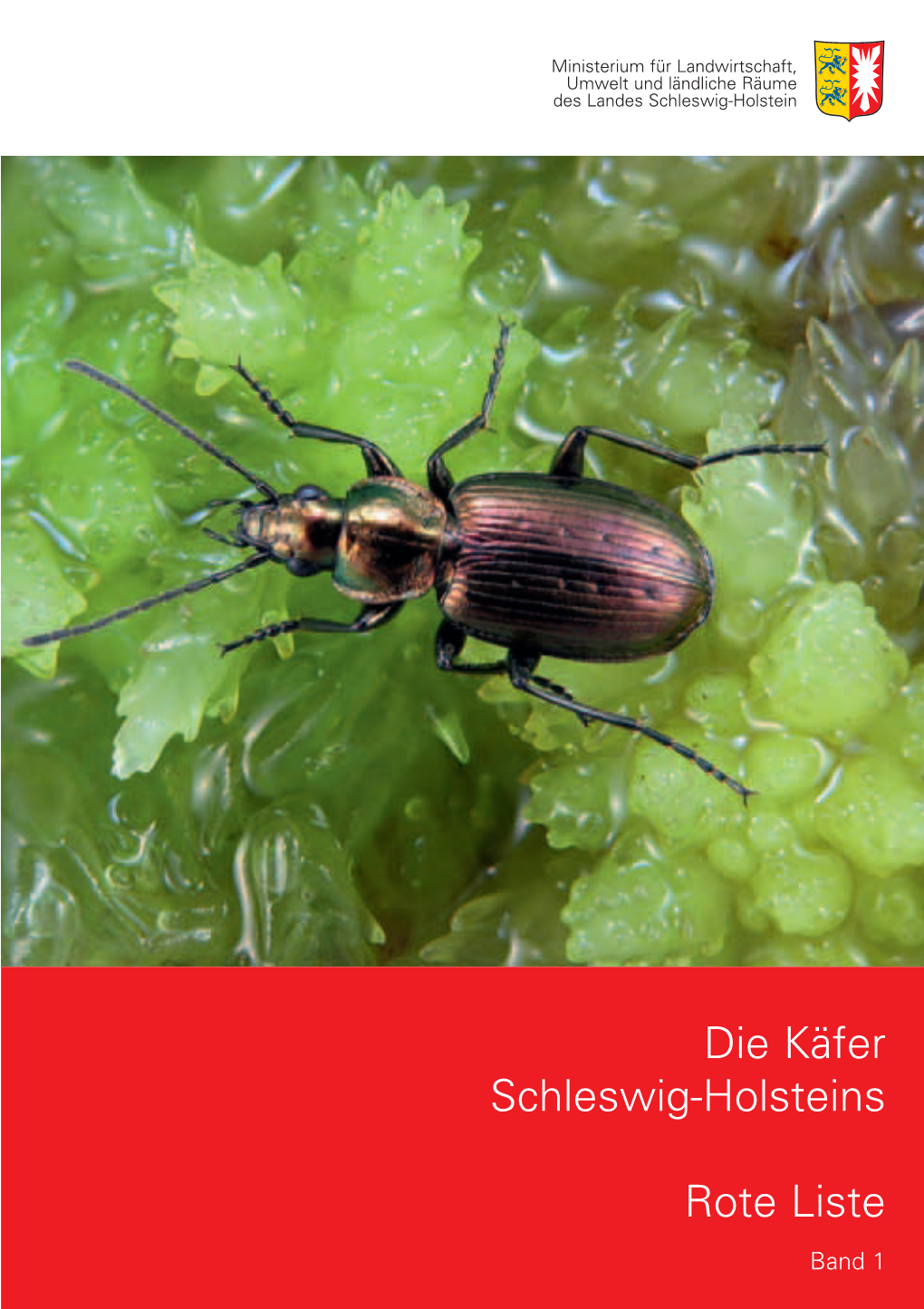 Die Käfer Schleswig-Holsteins Rote Liste