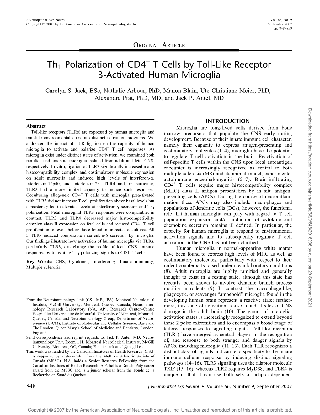 Th1 Polarization of CD4 T Cells by Toll-Like Receptor 3-Activated Human Microglia