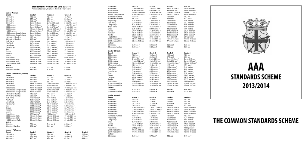 AAA Common Standards Scheme 2013