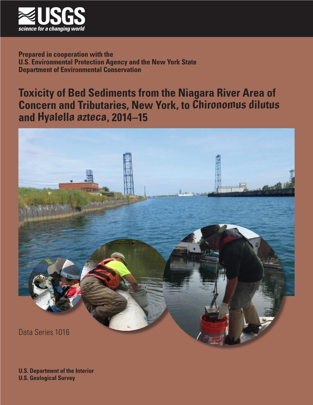 Toxicity of Bed Sediments from the Niagara River Area of Concern and Tributaries, New York, to Chironomus Dilutus and Hyalella Azteca, 2014–15