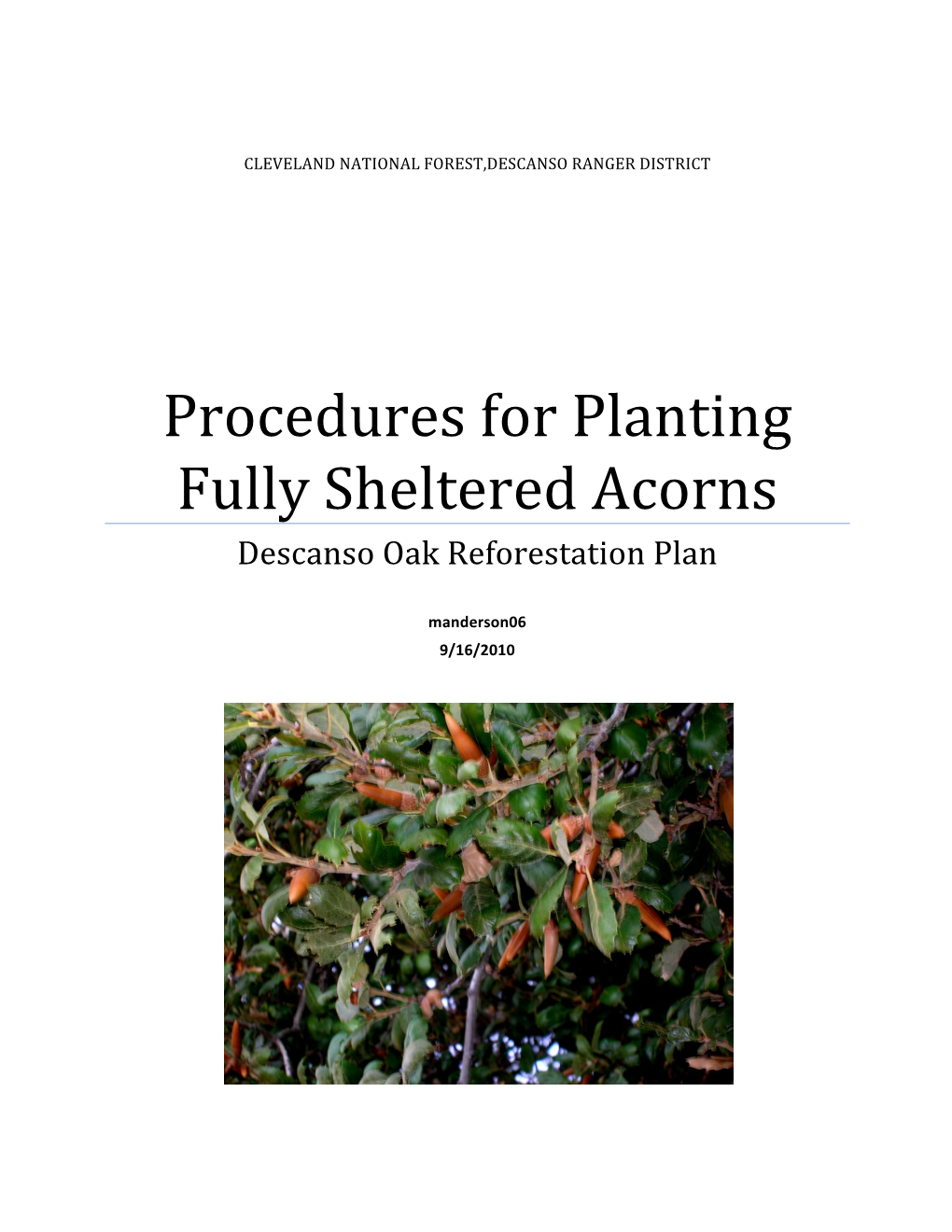 Procedures for Planting Fully Sheltered Acorns Descanso Oak Reforestation Plan