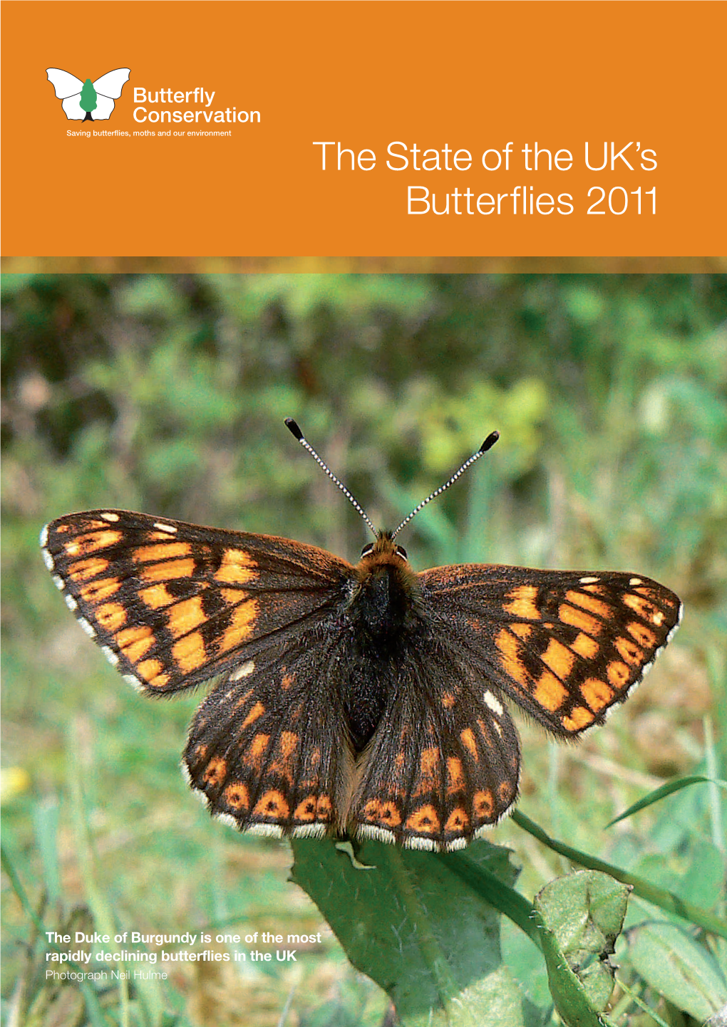 The State of the UK's Butterflies 2011