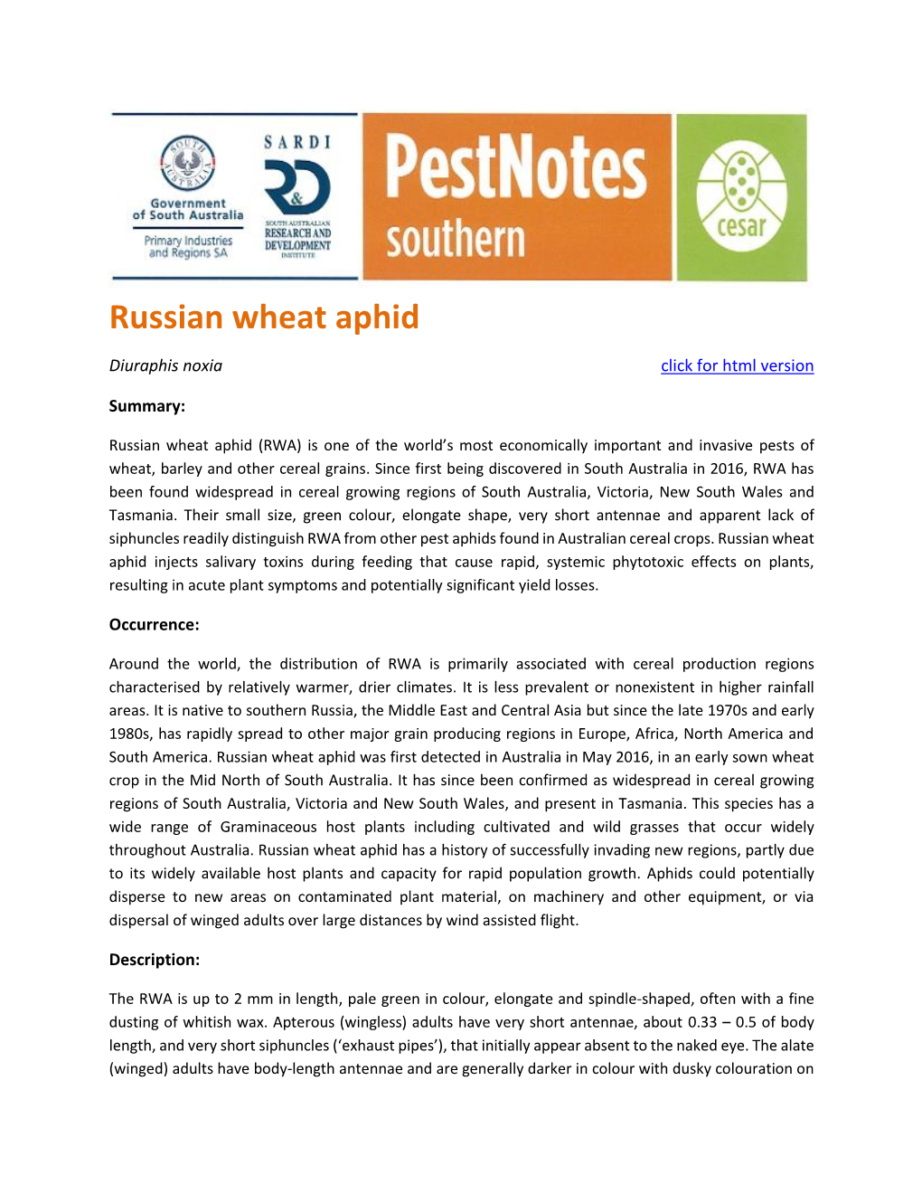 Russian Wheat Aphid