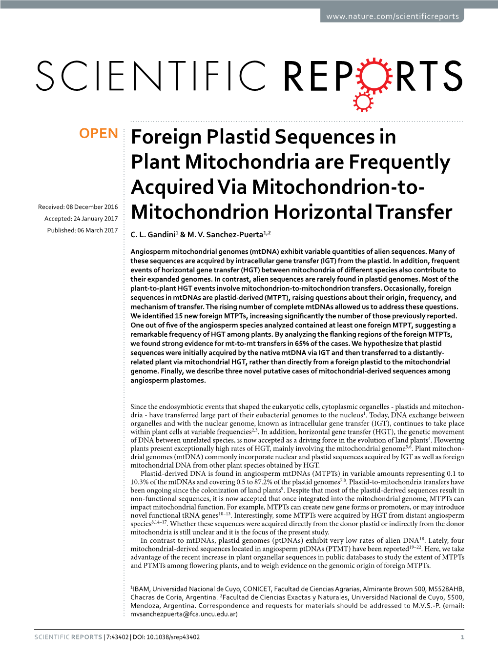 Foreign Plastid Sequences in Plant Mitochondria Are Frequently