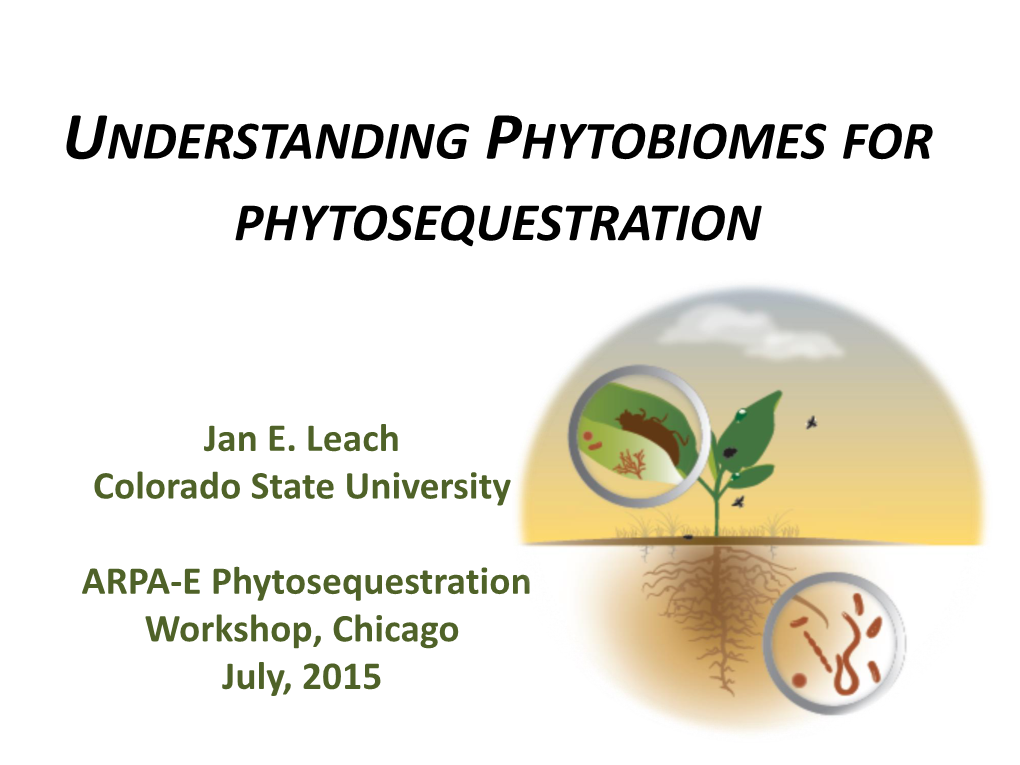 Understanding Phytobiomes for Phytosequestration