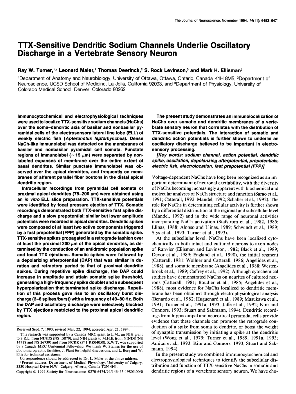 TTX-Sensitive Dendritic Sodium Channels Underlie Oscillatory Discharge in a Vertebrate Sensory Neuron