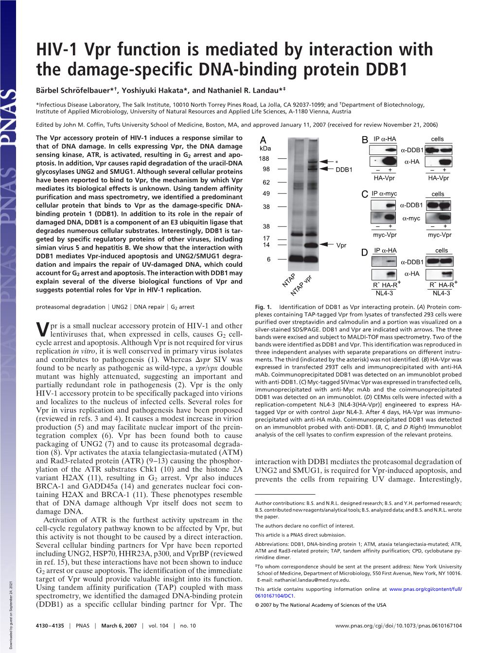 Vpr Function Is Mediated by Interaction with the Damage-Specific DNA-Binding Protein DDB1