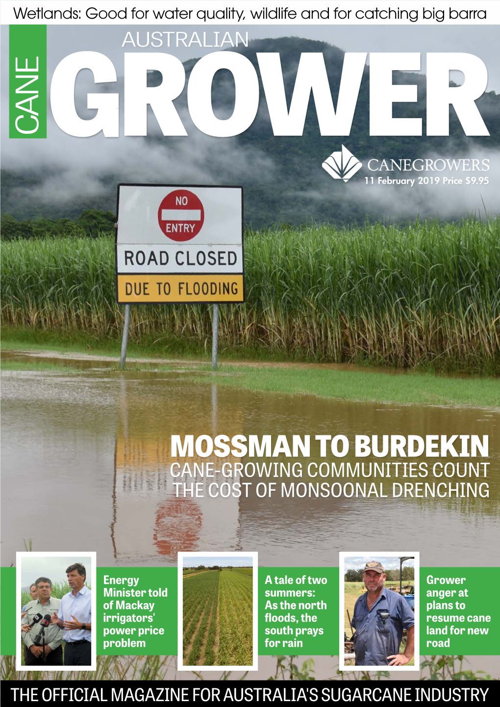 Mossman to Burdekin Cane-Growing Communities Count the Cost of Monsoonal Drenching