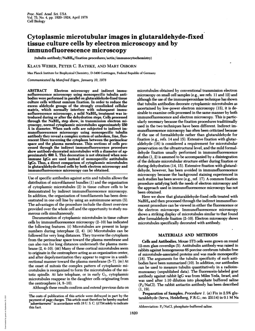 Tissue Culture Cells by Electron Microscopy and By