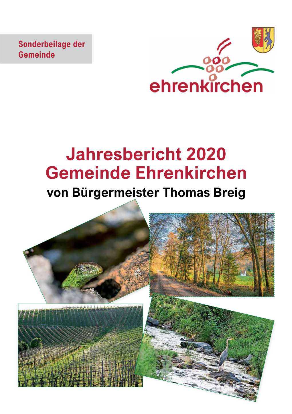 Jahresbericht 2020 Gemeinde Ehrenkirchen