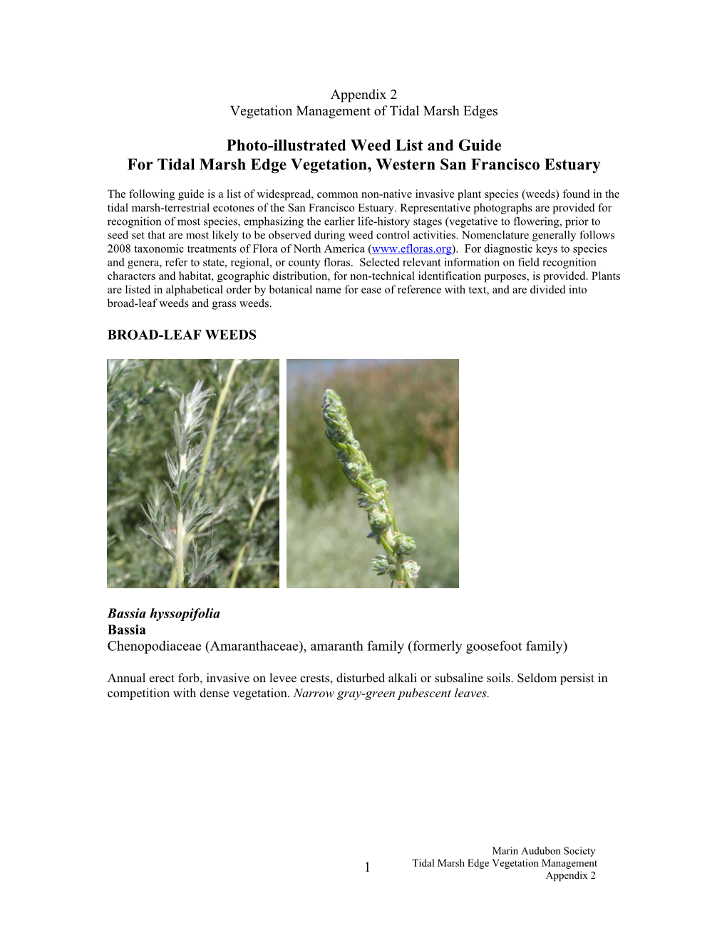 Photo-Illustrated Weed List and Guide for Tidal Marsh Edge Vegetation, Western San Francisco Estuary