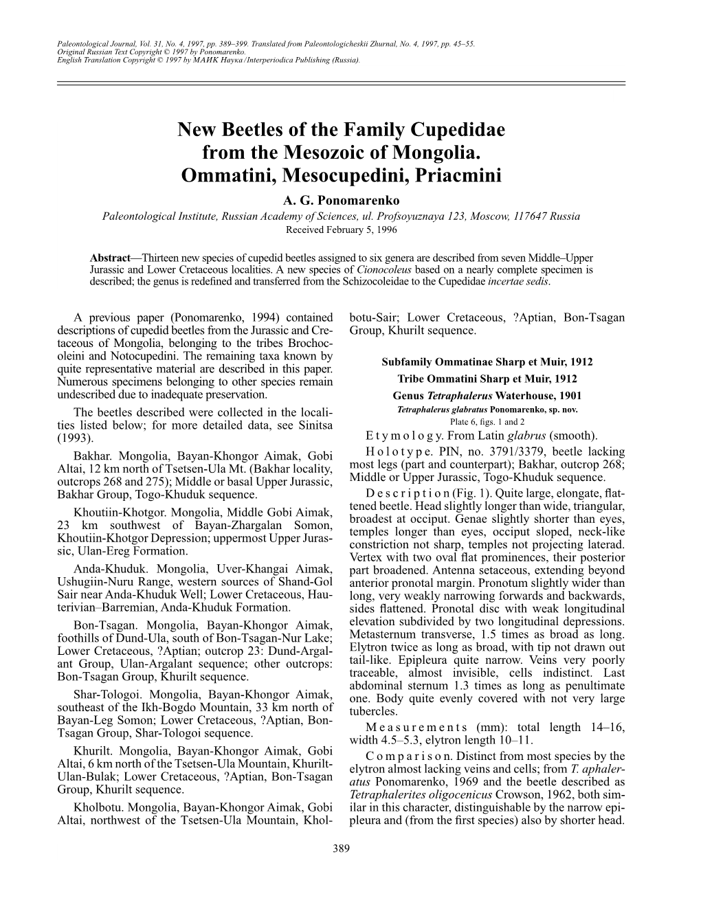 New Beetles of the Family Cupedidae from the Mesozoic of Mongolia