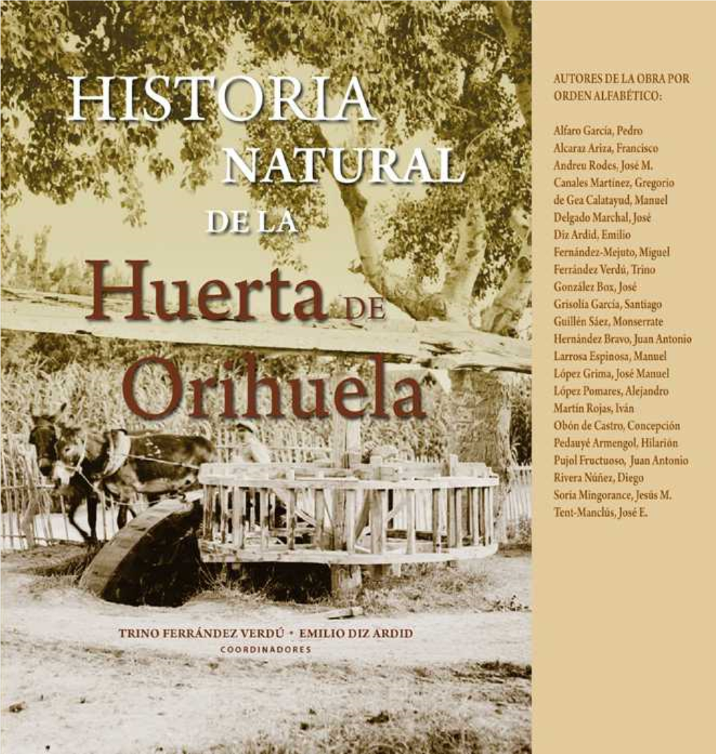 De La Huerta De Orihuela