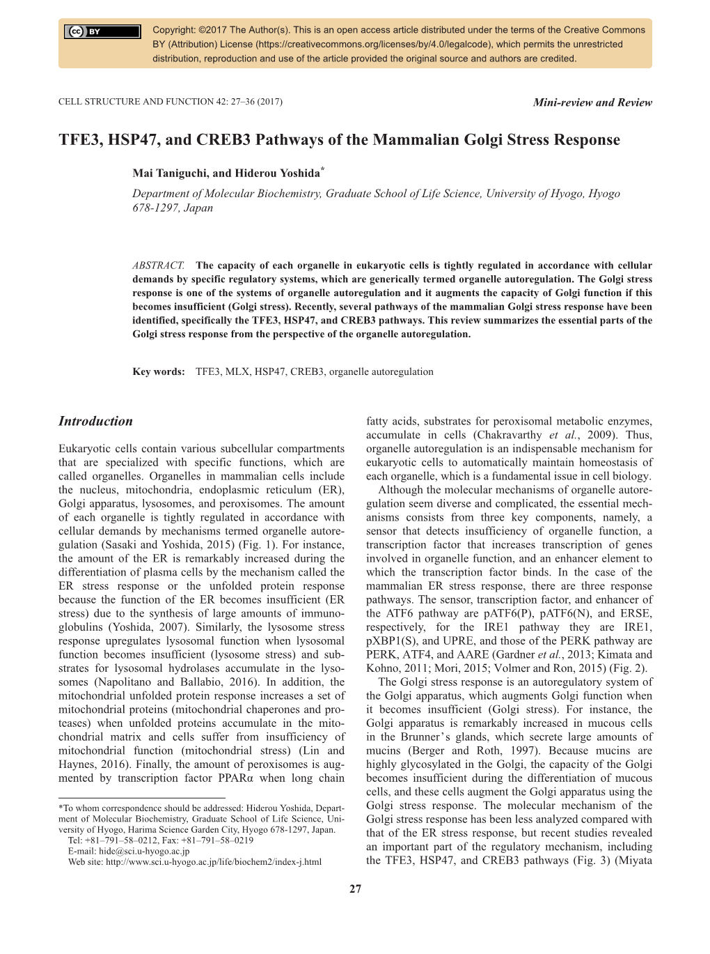 TFE3, HSP47, and CREB3 Pathways of the Mammalian Golgi Stress Response