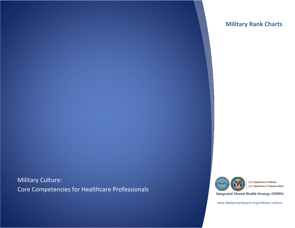 Military Culture: Core Competencies for Healthcare Professionals